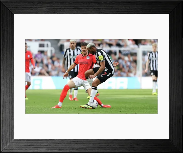 Framed Print : Newcastle United v Brighton and Hove Albion Premier League 11MAY24 Framed Print : Newcastle United v Brighton and Hove Albion Premier League 11MAY24