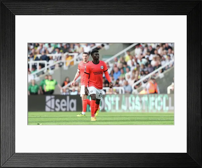 Framed Print : Newcastle United v Brighton and Hove Albion Premier League 11MAY24 Framed Print : Newcastle United v Brighton and Hove Albion Premier League 11MAY24