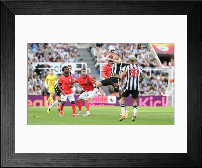 Framed Print : Newcastle United v Brighton and Hove Albion Premier League 11MAY24 Framed Print : Newcastle United v Brighton and Hove Albion Premier League 11MAY24