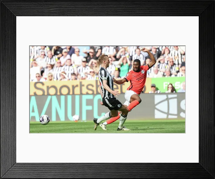 Framed Print : Newcastle United v Brighton and Hove Albion Premier League 11MAY24 Framed Print : Newcastle United v Brighton and Hove Albion Premier League 11MAY24
