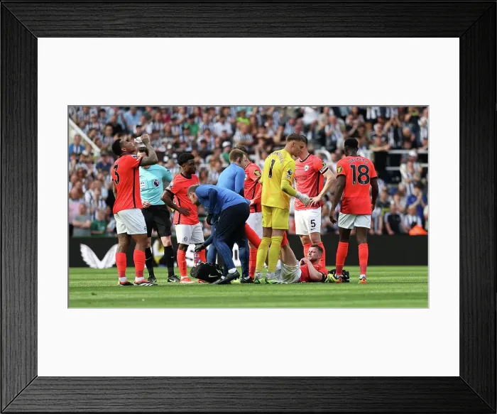 Framed Print : Newcastle United v Brighton and Hove Albion Premier League 11MAY24 Framed Print : Newcastle United v Brighton and Hove Albion Premier League 11MAY24