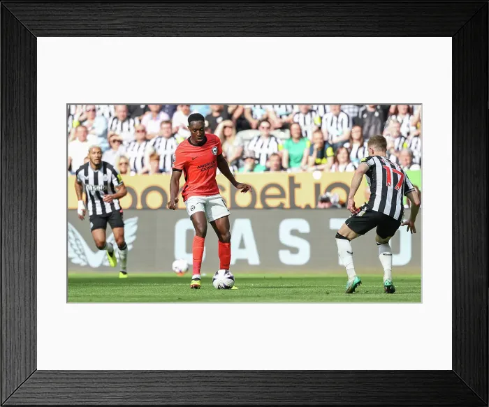 Framed Print : Newcastle United v Brighton and Hove Albion Premier League 11MAY24 Framed Print : Newcastle United v Brighton and Hove Albion Premier League 11MAY24