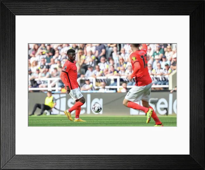 Framed Print : Newcastle United v Brighton and Hove Albion Premier League 11MAY24 Framed Print : Newcastle United v Brighton and Hove Albion Premier League 11MAY24