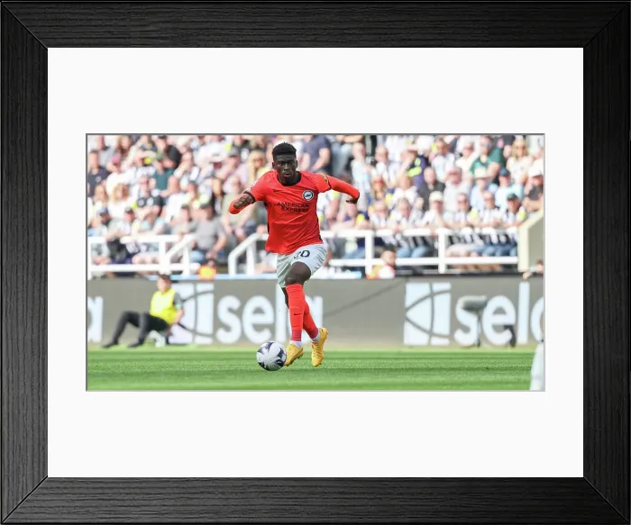 Framed Print : Newcastle United v Brighton and Hove Albion Premier League 11MAY24