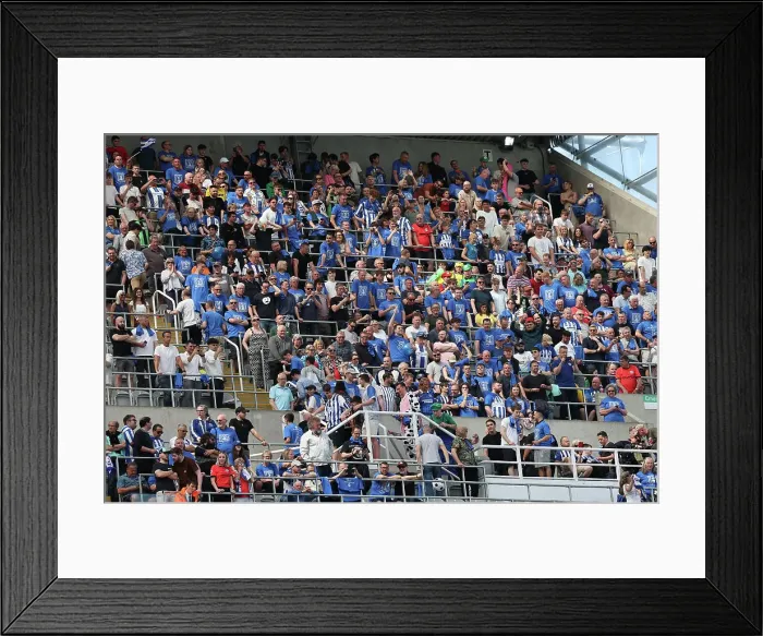 Framed Print : Newcastle United v Brighton and Hove Albion Premier League 11MAY24 Framed Print : Newcastle United v Brighton and Hove Albion Premier League 11MAY24