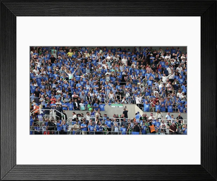 Framed Print : Newcastle United v Brighton and Hove Albion Premier League 11MAY24 Framed Print : Newcastle United v Brighton and Hove Albion Premier League 11MAY24