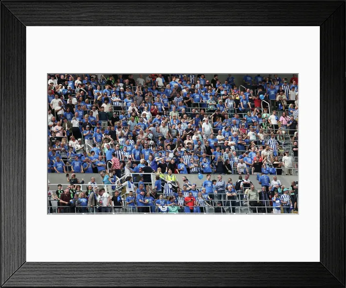 Framed Print : Newcastle United v Brighton and Hove Albion Premier League 11MAY24 Framed Print : Newcastle United v Brighton and Hove Albion Premier League 11MAY24