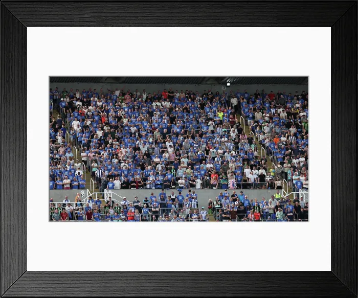 Framed Print : Newcastle United v Brighton and Hove Albion Premier League 11MAY24 Framed Print : Newcastle United v Brighton and Hove Albion Premier League 11MAY24