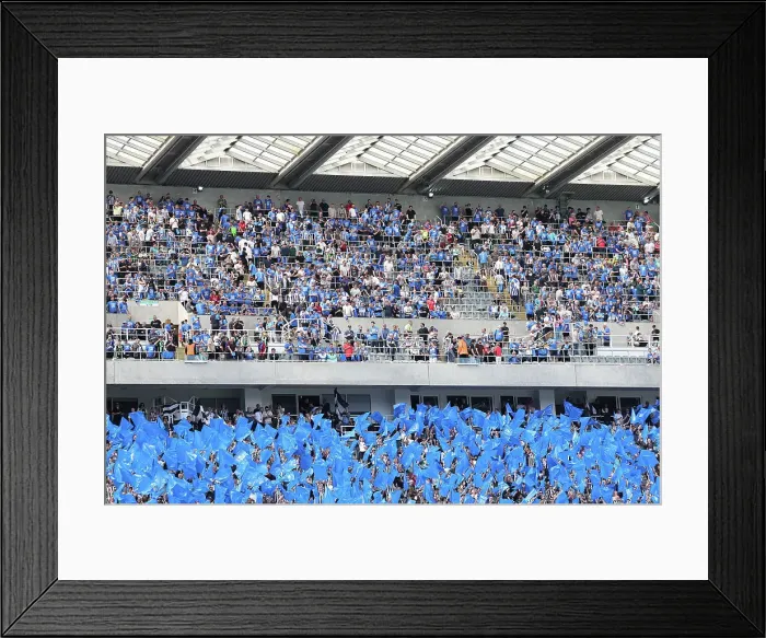 Framed Print : Newcastle United v Brighton and Hove Albion Premier League 11MAY24 Framed Print : Newcastle United v Brighton and Hove Albion Premier League 11MAY24