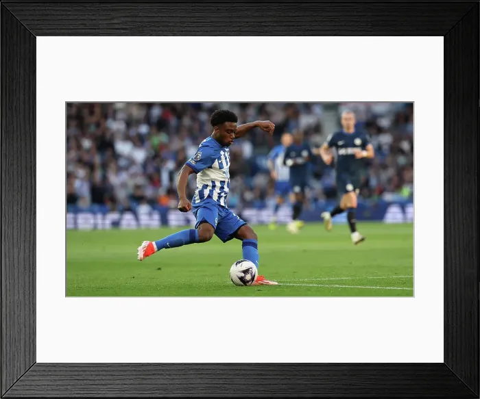 Framed Print : Brighton and Hove Albion v Chelsea Premier League 15MAY24