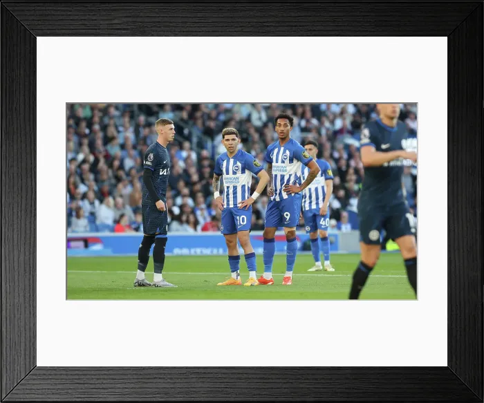 Framed Print : Brighton and Hove Albion v Chelsea Premier League 15MAY24 Framed Print : Brighton and Hove Albion v Chelsea Premier League 15MAY24