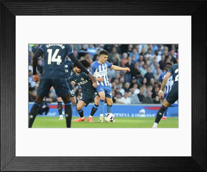 Framed Print : Brighton and Hove Albion v Chelsea Premier League 15MAY24 Framed Print : Brighton and Hove Albion v Chelsea Premier League 15MAY24
