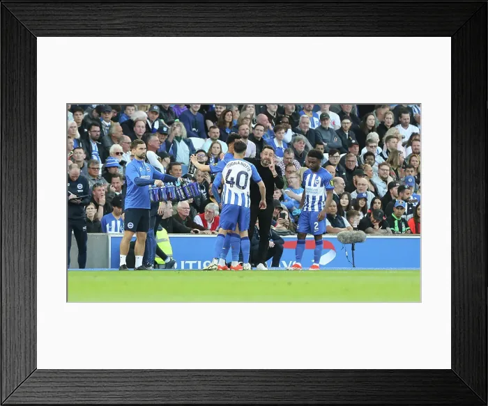 Framed Print : Brighton and Hove Albion v Chelsea Premier League 15MAY24 Framed Print : Brighton and Hove Albion v Chelsea Premier League 15MAY24