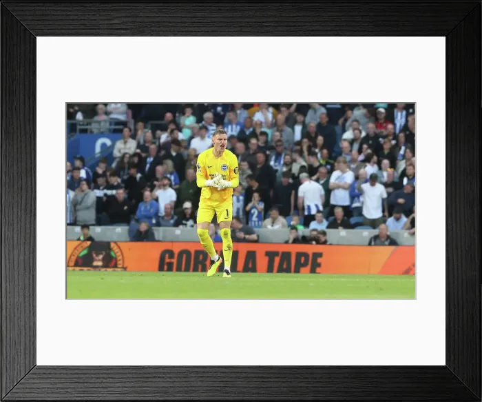 Framed Print : Brighton and Hove Albion v Chelsea Premier League 15MAY24 Framed Print : Brighton and Hove Albion v Chelsea Premier League 15MAY24
