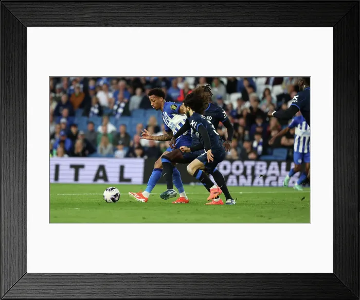 Framed Print : Brighton and Hove Albion v Chelsea Premier League 15MAY24 Framed Print : Brighton and Hove Albion v Chelsea Premier League 15MAY24