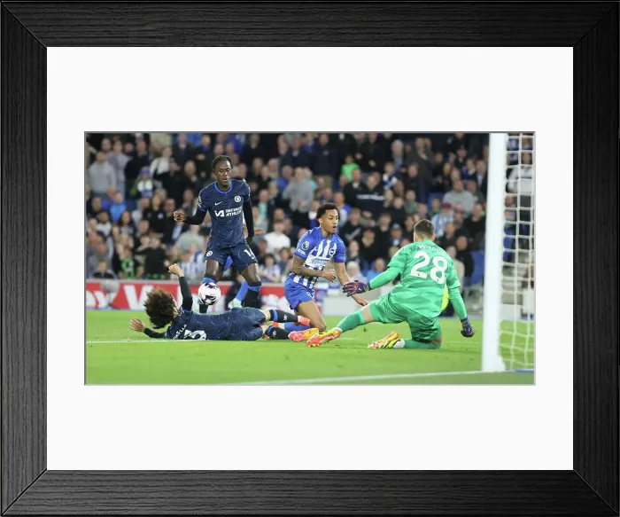 Framed Print : Brighton and Hove Albion v Chelsea Premier League 15MAY24 Framed Print : Brighton and Hove Albion v Chelsea Premier League 15MAY24