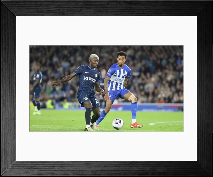 Framed Print : Brighton and Hove Albion v Chelsea Premier League 15MAY24