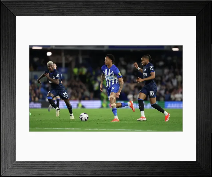 Framed Print : Brighton and Hove Albion v Chelsea Premier League 15MAY24 Framed Print : Brighton and Hove Albion v Chelsea Premier League 15MAY24