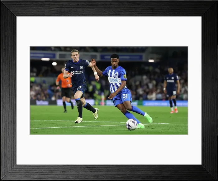 Framed Print : Brighton and Hove Albion v Chelsea Premier League 15MAY24 Framed Print : Brighton and Hove Albion v Chelsea Premier League 15MAY24