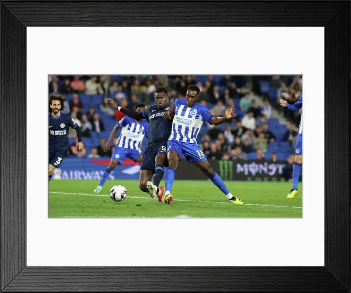 Framed Print : Brighton and Hove Albion v Chelsea Premier League 15MAY24 Framed Print : Brighton and Hove Albion v Chelsea Premier League 15MAY24