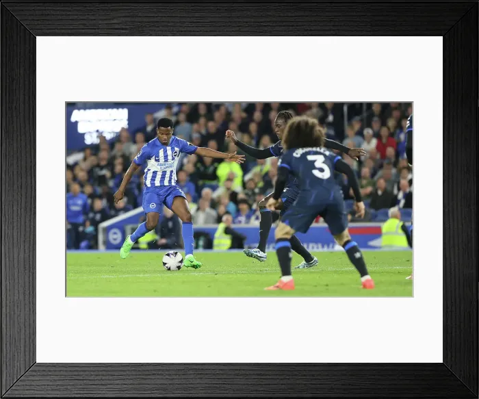 Framed Print : Brighton and Hove Albion v Chelsea Premier League 15MAY24 Framed Print : Brighton and Hove Albion v Chelsea Premier League 15MAY24