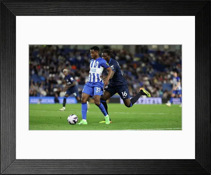 Framed Print : Brighton and Hove Albion v Chelsea Premier League 15MAY24 Framed Print : Brighton and Hove Albion v Chelsea Premier League 15MAY24
