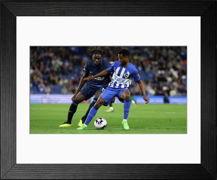 Framed Print : Brighton and Hove Albion v Chelsea Premier League 15MAY24 Framed Print : Brighton and Hove Albion v Chelsea Premier League 15MAY24
