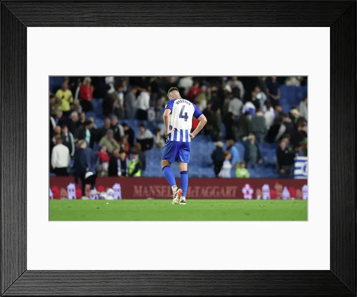 Framed Print : Brighton and Hove Albion v Chelsea Premier League 15MAY24 Framed Print : Brighton and Hove Albion v Chelsea Premier League 15MAY24