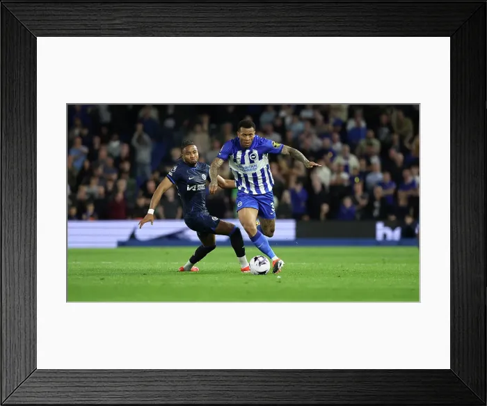 Framed Print : Brighton and Hove Albion v Chelsea Premier League 15MAY24 Framed Print : Brighton and Hove Albion v Chelsea Premier League 15MAY24