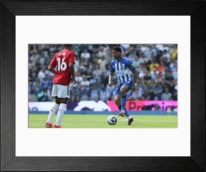 Framed Print : Brighton and Hove Albion v Manchester United Premier League 19MAY24 Framed Print : Brighton and Hove Albion v Manchester United Premier League 19MAY24