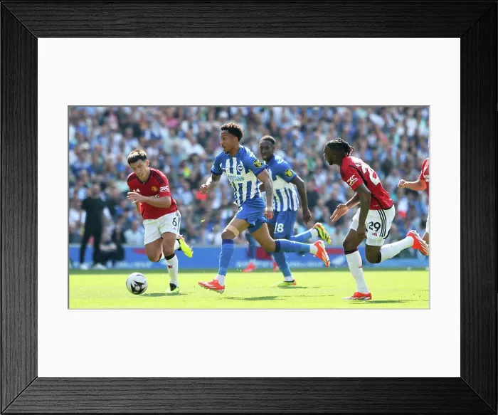 Framed Print : Brighton and Hove Albion v Manchester United Premier League 19MAY24