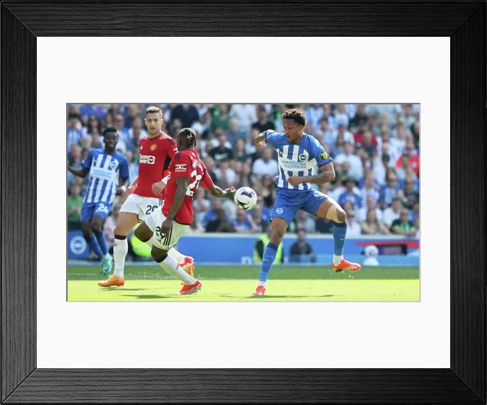 Framed Print : Brighton and Hove Albion v Manchester United Premier League 19MAY24