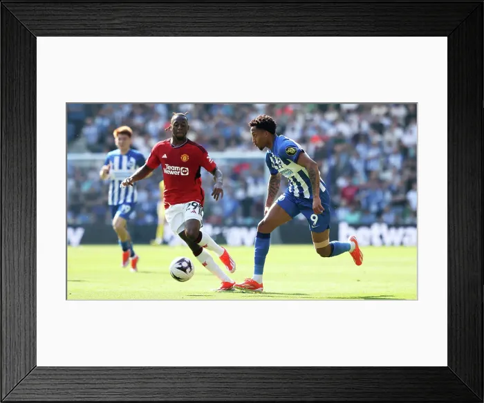Framed Print : Brighton and Hove Albion v Manchester United Premier League 19MAY24