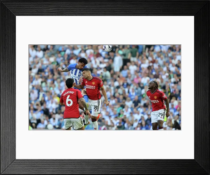 Framed Print : Brighton and Hove Albion v Manchester United Premier League 19MAY24