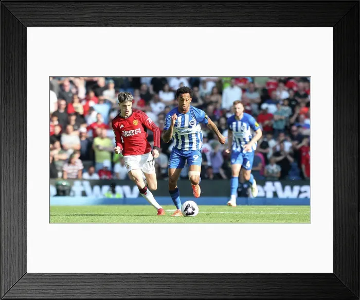 Framed Print : Brighton and Hove Albion v Manchester United Premier League 19MAY24 Framed Print : Brighton and Hove Albion v Manchester United Premier League 19MAY24