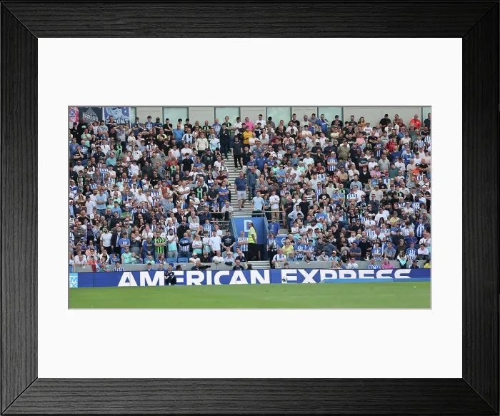 Framed Print : Brighton and Hove Albion v Manchester United Premier League 19MAY24
