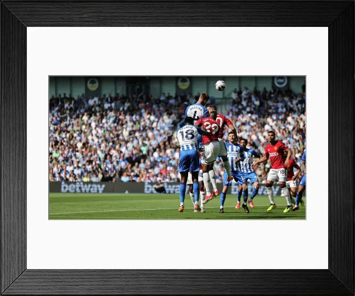 Framed Print : Brighton and Hove Albion v Manchester United Premier League 19MAY24 Framed Print : Brighton and Hove Albion v Manchester United Premier League 19MAY24