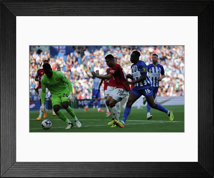 Framed Print : Brighton and Hove Albion v Manchester United Premier League 19MAY24 Framed Print : Brighton and Hove Albion v Manchester United Premier League 19MAY24