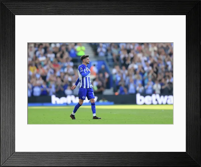 Framed Print : Brighton and Hove Albion v Manchester United Premier League 19MAY24 Framed Print : Brighton and Hove Albion v Manchester United Premier League 19MAY24