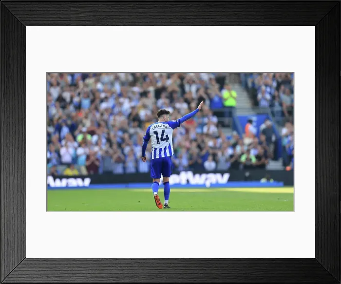 Framed Print : Brighton and Hove Albion v Manchester United Premier League 19MAY24 Framed Print : Brighton and Hove Albion v Manchester United Premier League 19MAY24