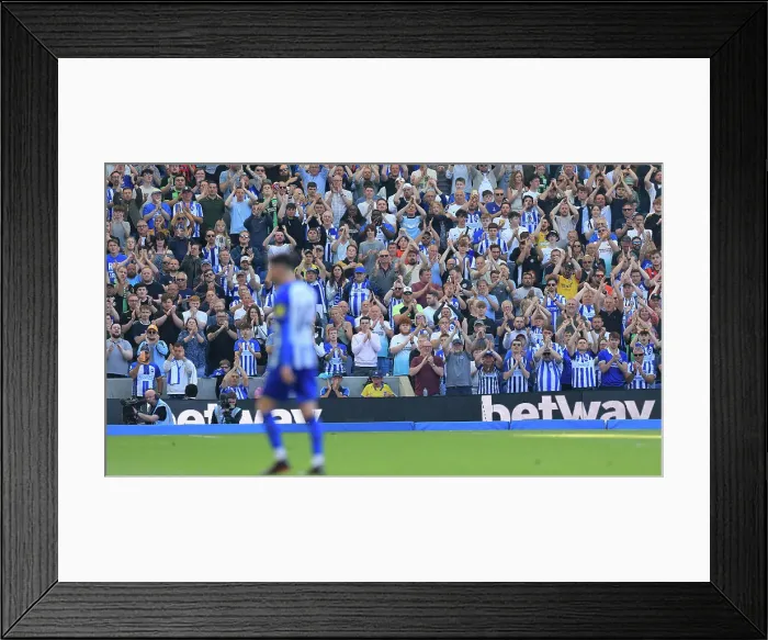 Framed Print : Brighton and Hove Albion v Manchester United Premier League 19MAY24 Framed Print : Brighton and Hove Albion v Manchester United Premier League 19MAY24