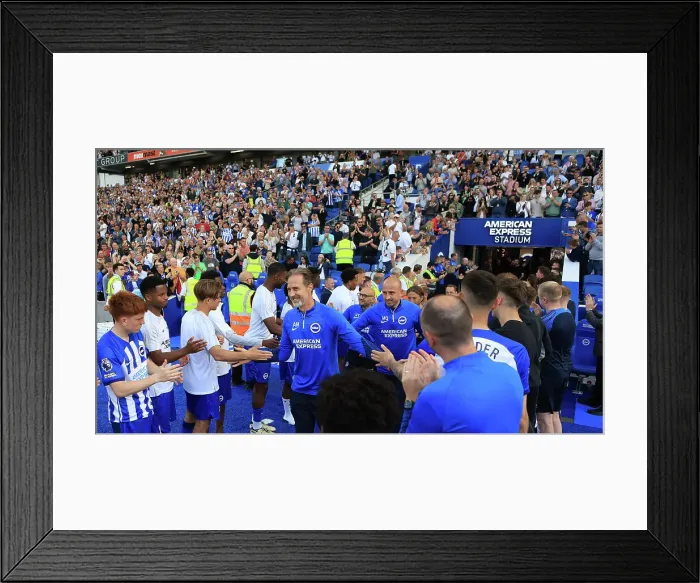 Framed Print : Brighton and Hove Albion v Manchester United Premier League 19MAY24 Framed Print : Brighton and Hove Albion v Manchester United Premier League 19MAY24
