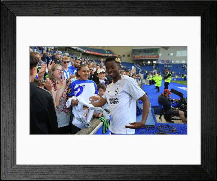 Framed Print : Brighton and Hove Albion v Manchester United Premier League 19MAY24 Framed Print : Brighton and Hove Albion v Manchester United Premier League 19MAY24