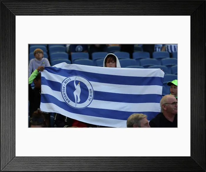 Framed Print : Brighton and Hove Albion v Villarreal CF Pre Season Friendly 10AUG24 Framed Print : Brighton and Hove Albion v Villarreal CF Pre Season Friendly 10AUG24