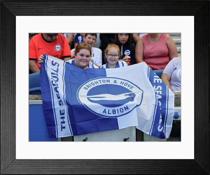 Framed Print : Brighton and Hove Albion v Villarreal CF Pre Season Friendly 10AUG24 Framed Print : Brighton and Hove Albion v Villarreal CF Pre Season Friendly 10AUG24
