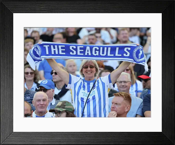 Framed Print : Brighton and Hove Albion v Villarreal CF Pre Season Friendly 10AUG24 Framed Print : Brighton and Hove Albion v Villarreal CF Pre Season Friendly 10AUG24