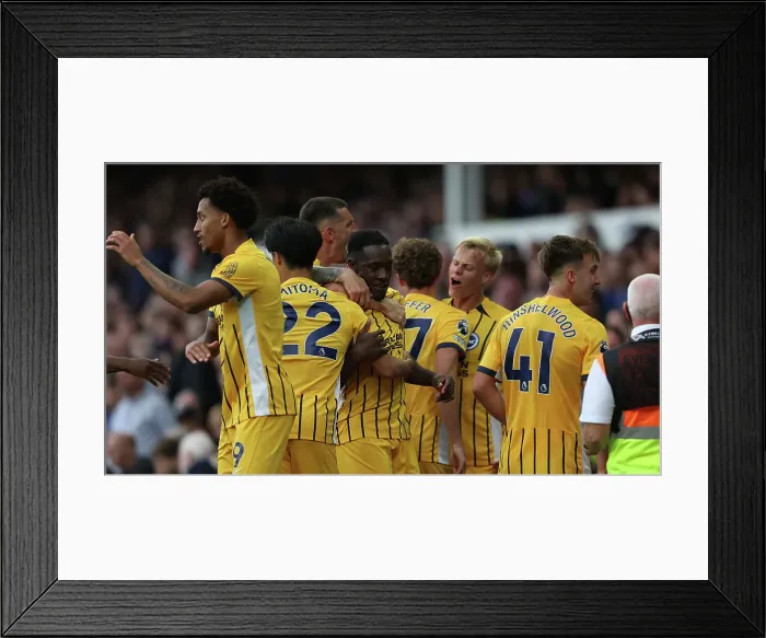 Framed Print : Everton v Brighton and Hove Albion Premier League 17AUG24