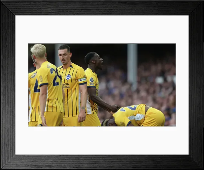 Framed Print : Everton v Brighton and Hove Albion Premier League 17AUG24