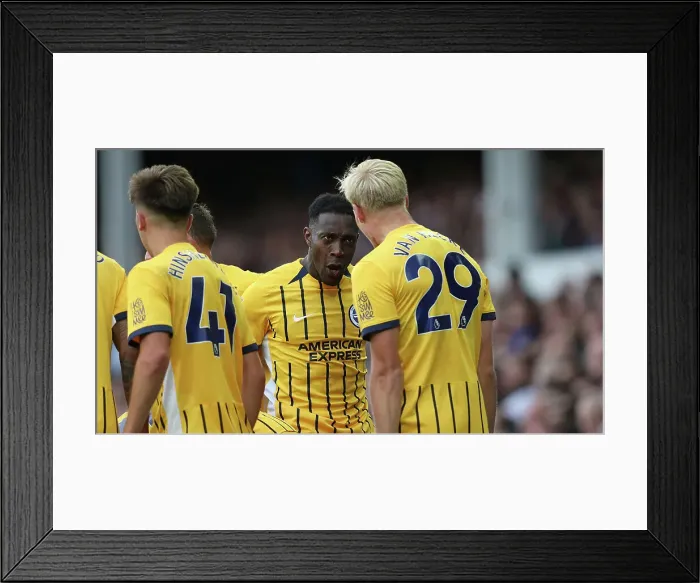 Framed Print : Everton v Brighton and Hove Albion Premier League 17AUG24