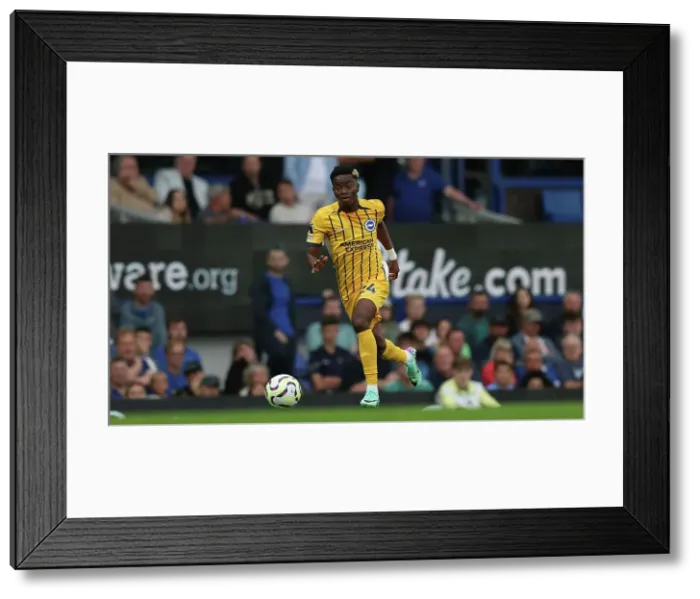 Framed Print : Everton v Brighton and Hove Albion Premier League 17AUG24 Framed Print : Everton v Brighton and Hove Albion Premier League 17AUG24